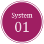 system01